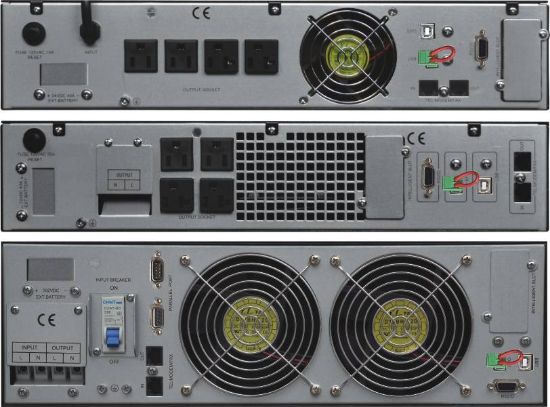 Picture of Rear Panel